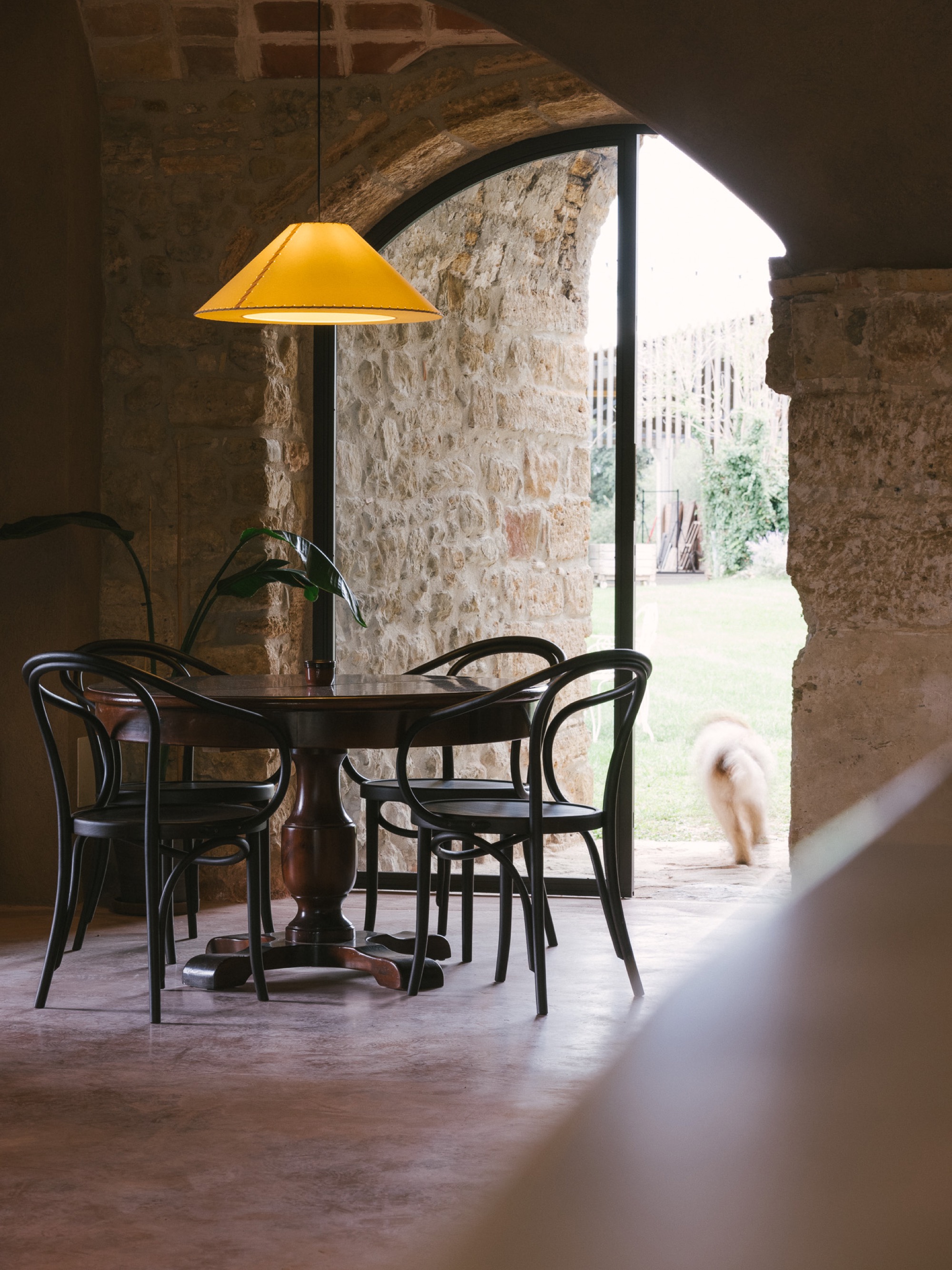 Dining room with pendant lamp and dog